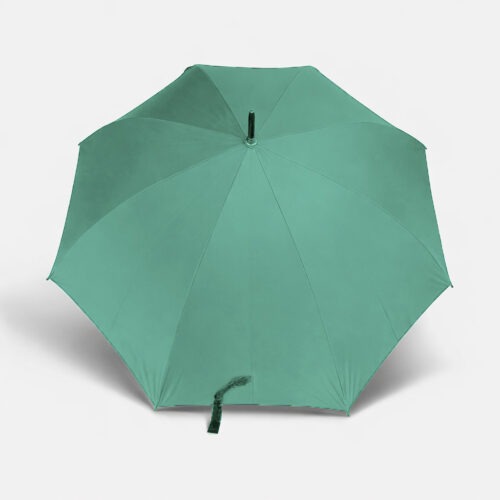 Umbrella Iconic Brandable - Pistachio